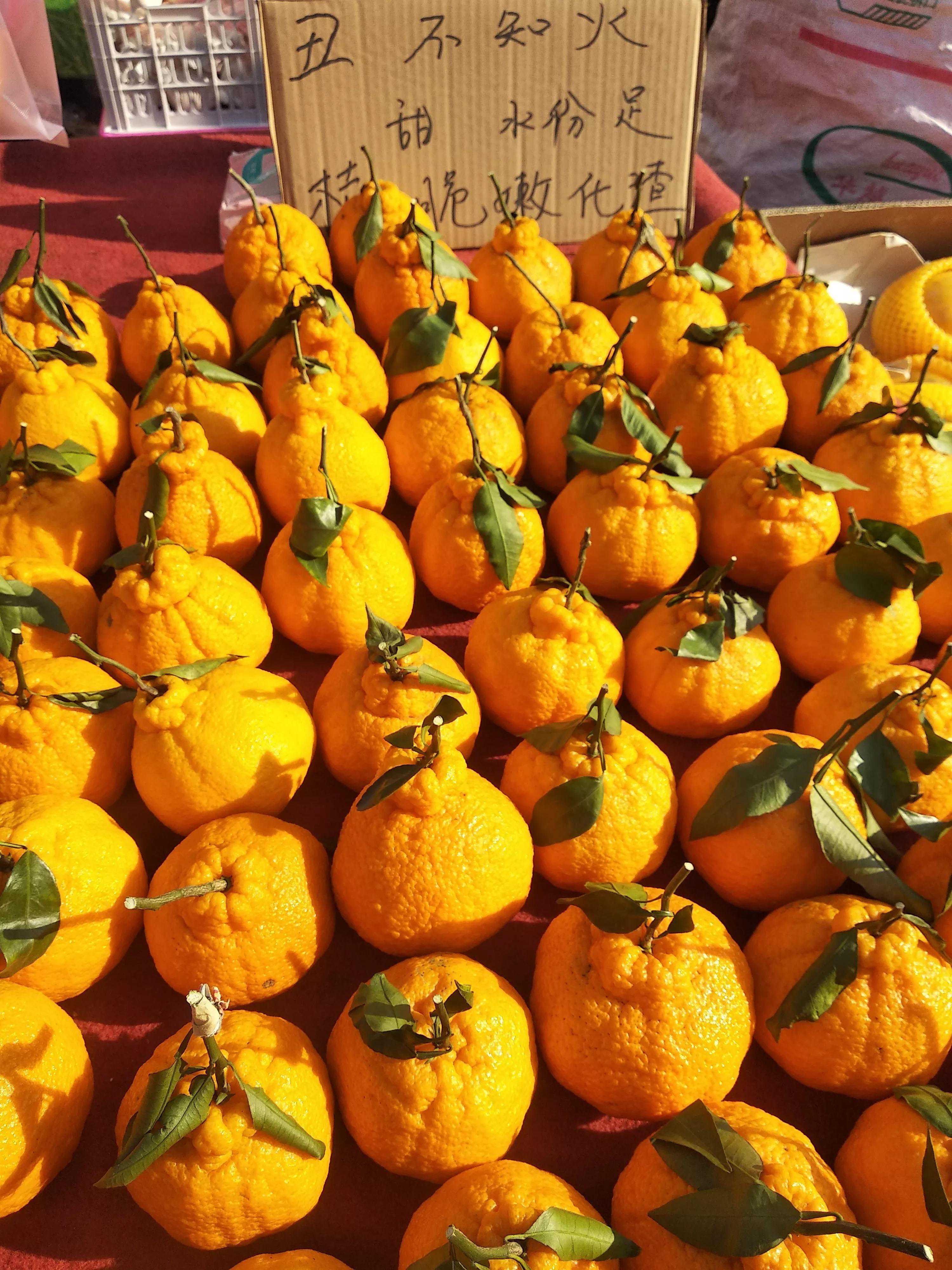 “丑橘”和“耙耙柑”有啥区别？味道口感差不少，学会可别乱买了