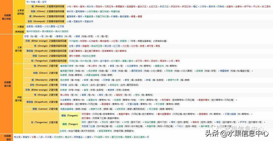 中国橙子主要产地分布图，来看全国橙子产地大pk