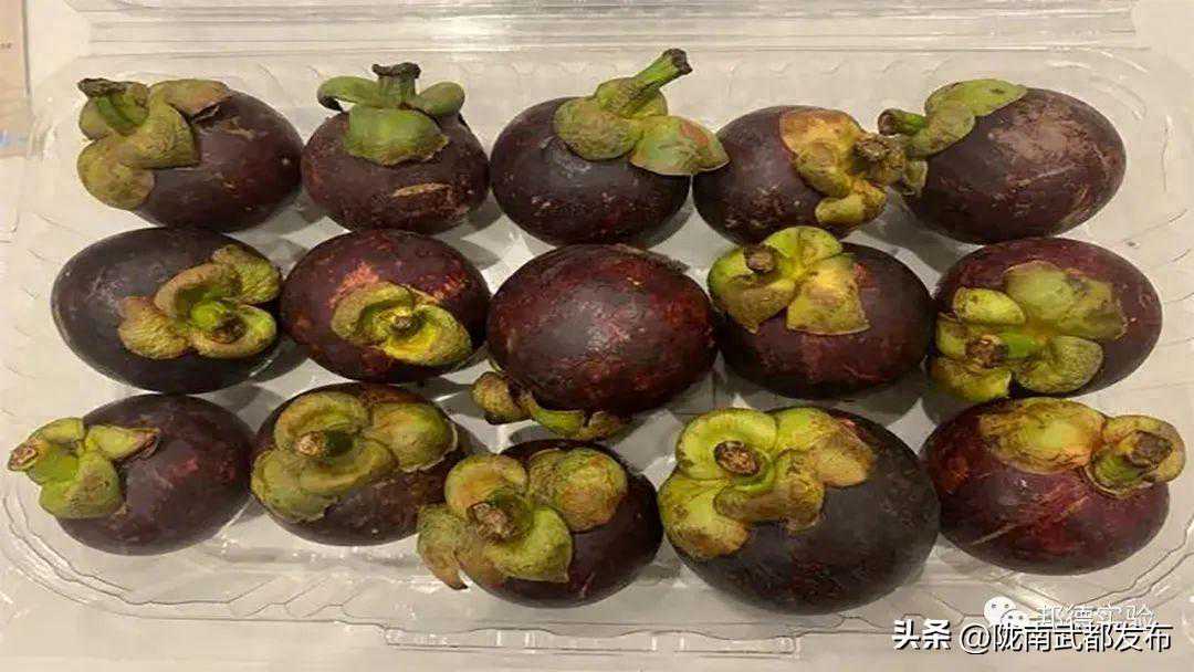 被誉为果中皇后的山竹，为何不能带进酒店，还会被罚款？