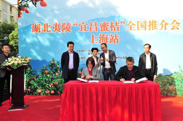 湖北名果之一“宜昌蜜桔”香飘申城