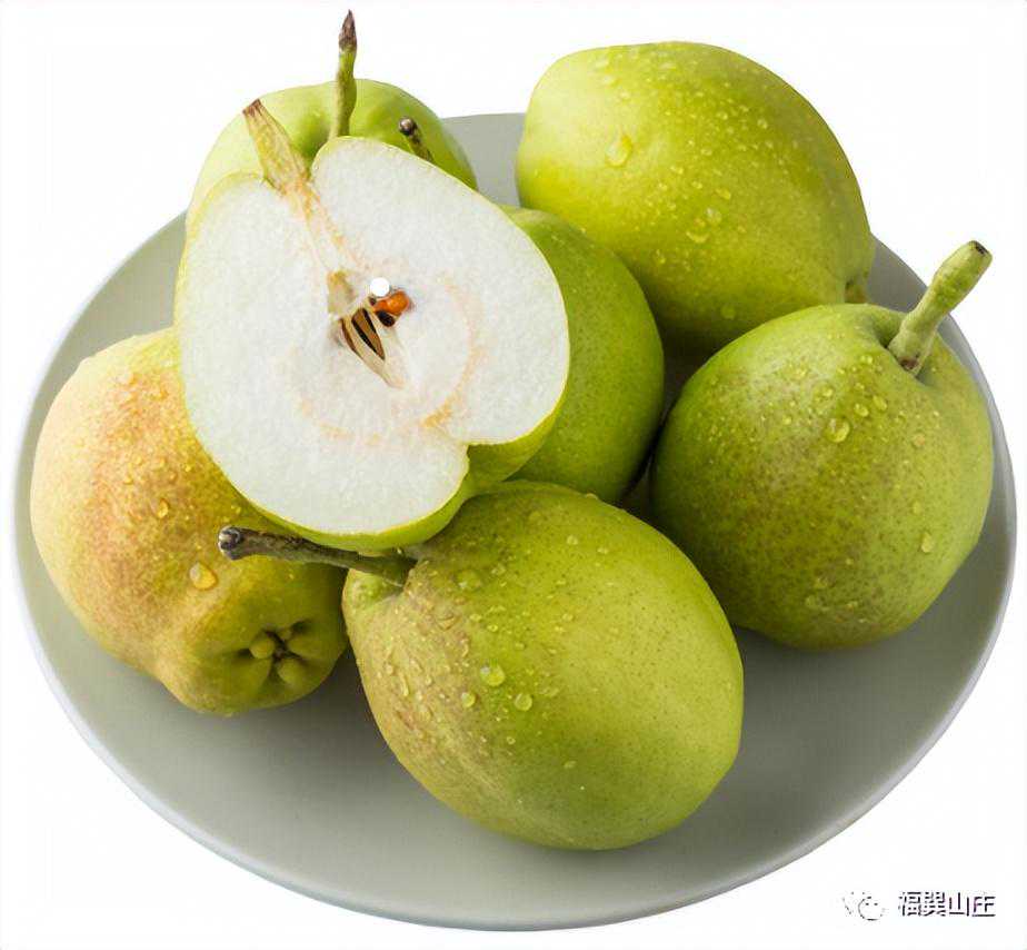 药食同源：梨