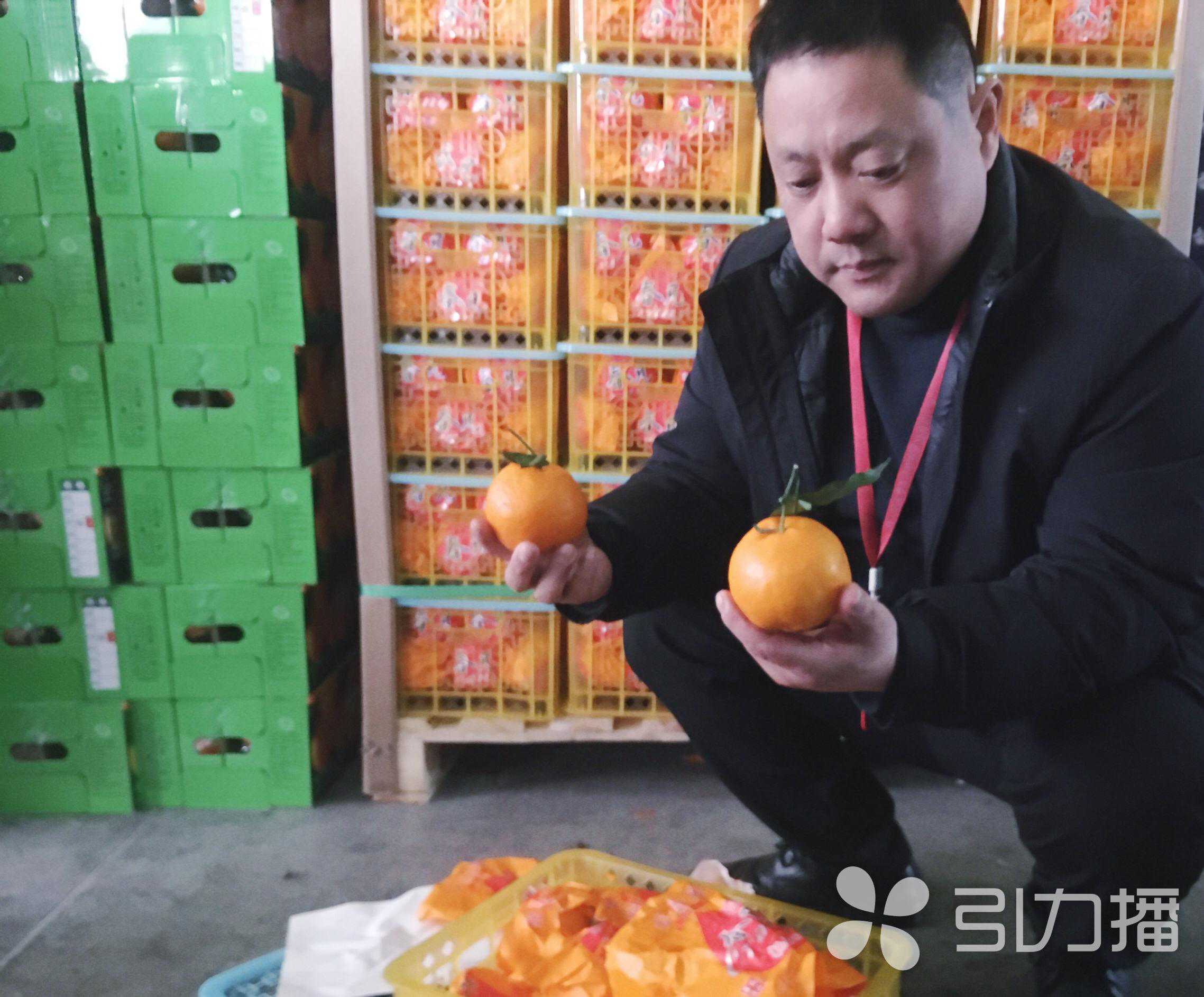 “一个榴莲代表一千万”被罚 深圳水果图案挂牌价背后的房价暗战