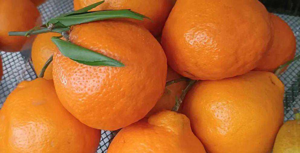 春天“最善良”的水果竟是它！热量比苹果还低，清甜多汁，10块钱能买3斤