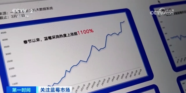 卖爆了！订单增长超1600%！商家进货都靠“抢”，水果“销冠”是它！