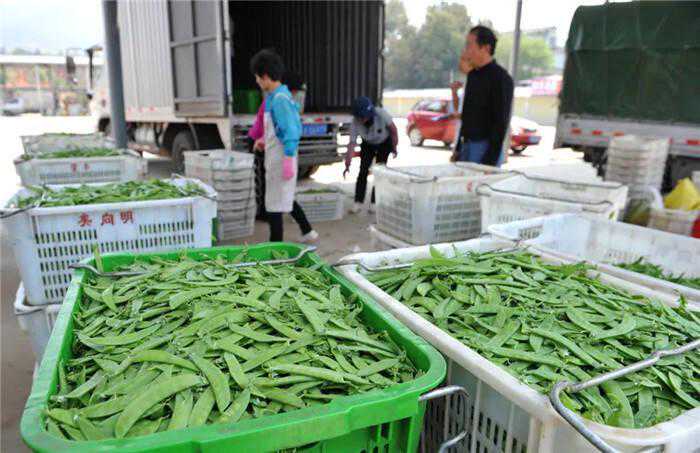 利好！昆明3个交易中心上线