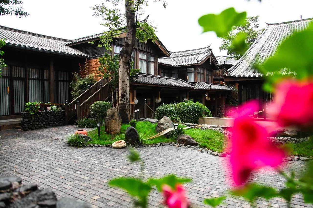 大学毕业生创业做水果快送网站，每日收入六千元