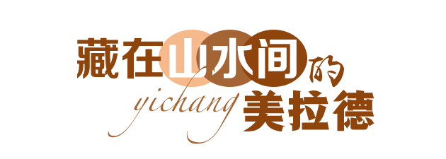如今常见的水果之一——苹果的身世起源如何，揭秘苹果背后的历史