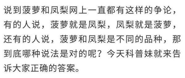 菠萝和凤梨到底有什么区别？10人有9人错，看完终于明白了