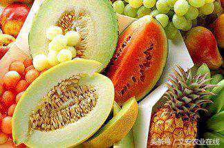 3月15日新发地水果批发价格