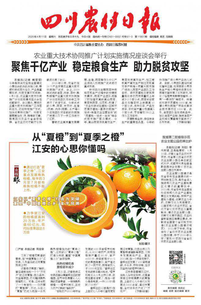 从“夏橙”到“夏季之橙”江安的心思你懂吗