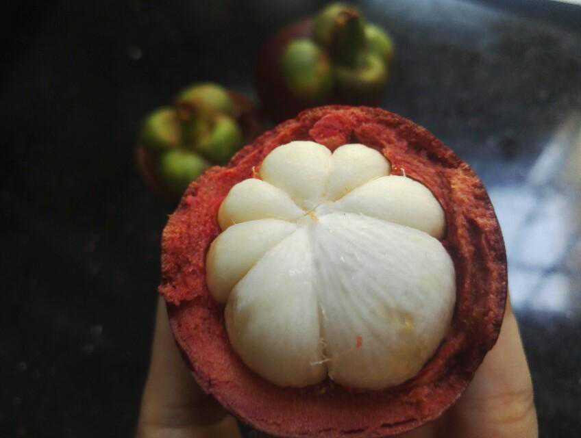 买山竹，不要贪大，记住这4点，山竹个个皮薄肉多还新鲜