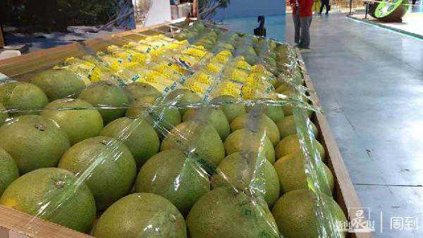 “进”报，进博会现场下单！进口水果、零食、冰激凌，这里一键订购，送货到家