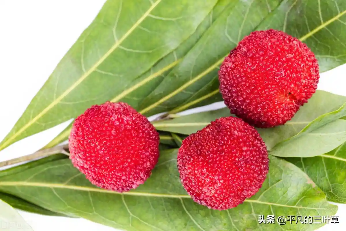 水果谐音梗，水果祝福语