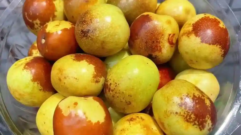 想开水果店怎样进货，水果店的水果怎么进货