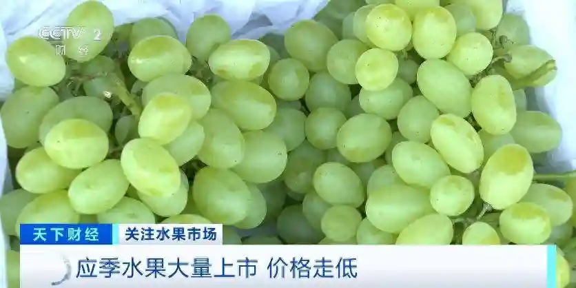 你爱吃的水果便宜了！应季水果大量上市，多种水果价格走低