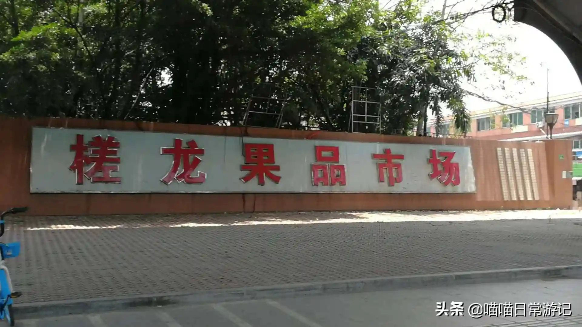 低价的水果在哪?水果要怎么批?五一一起来“云游”水果批发市场