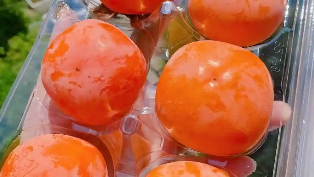 水果店圈子：开水果店哪个季节最合适，水果店哪些季节生意好