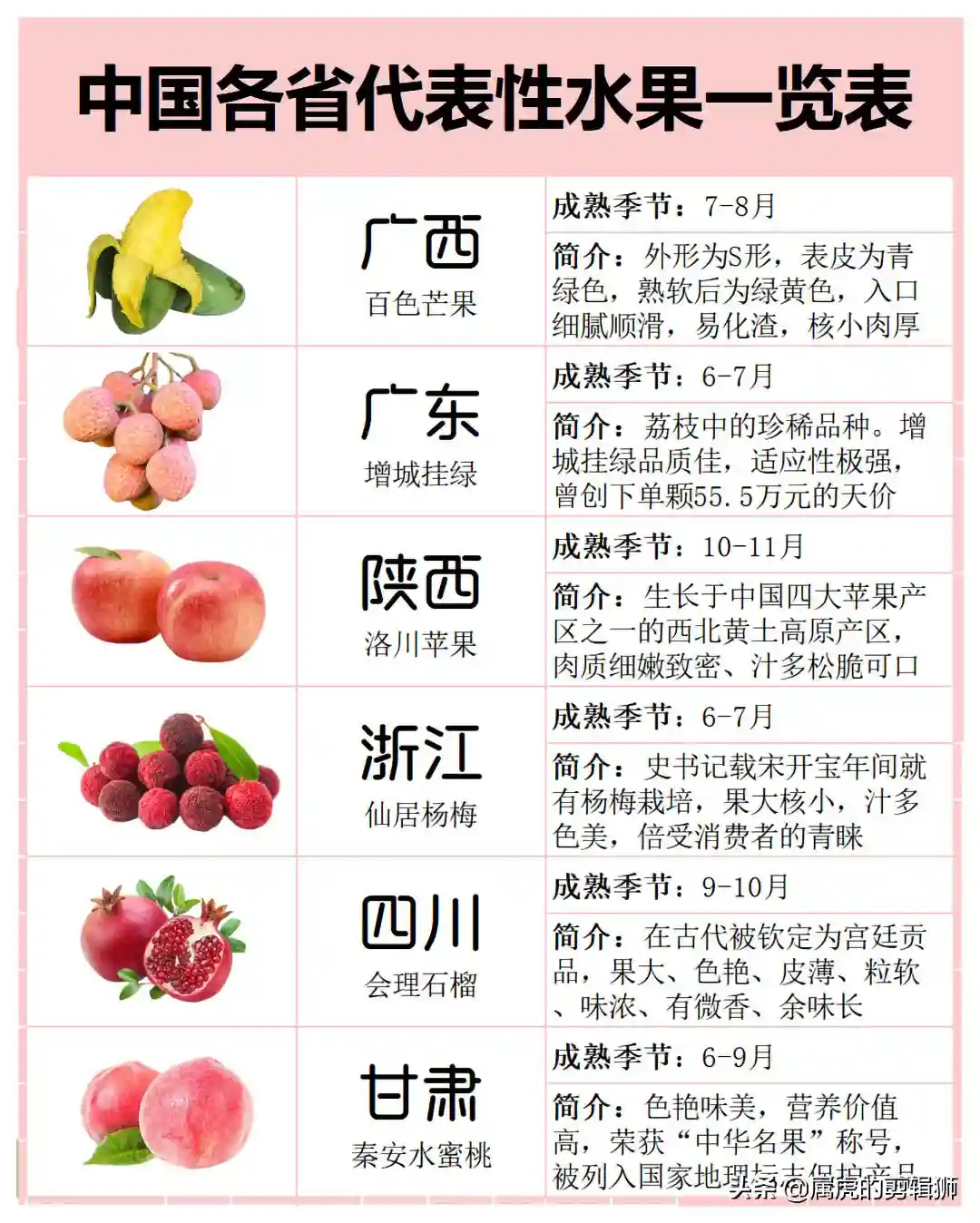 水果的知识大全 之《中国各省代表性水果》