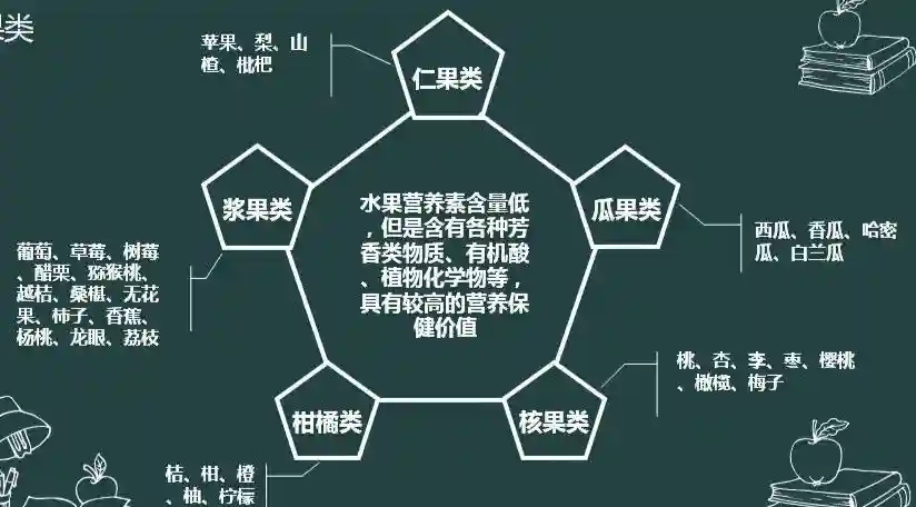 水果的分类