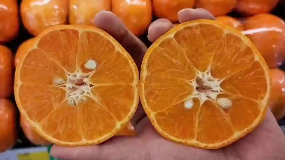 水果店差别定价策略，卖水果利润怎么定价