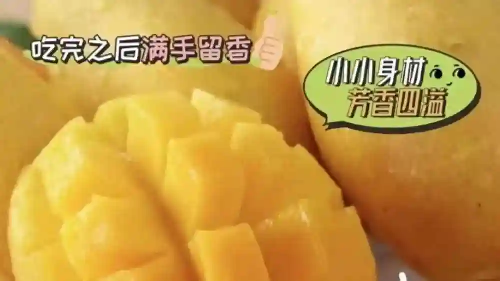 开水果店去哪进货，小水果店怎么找进货渠道