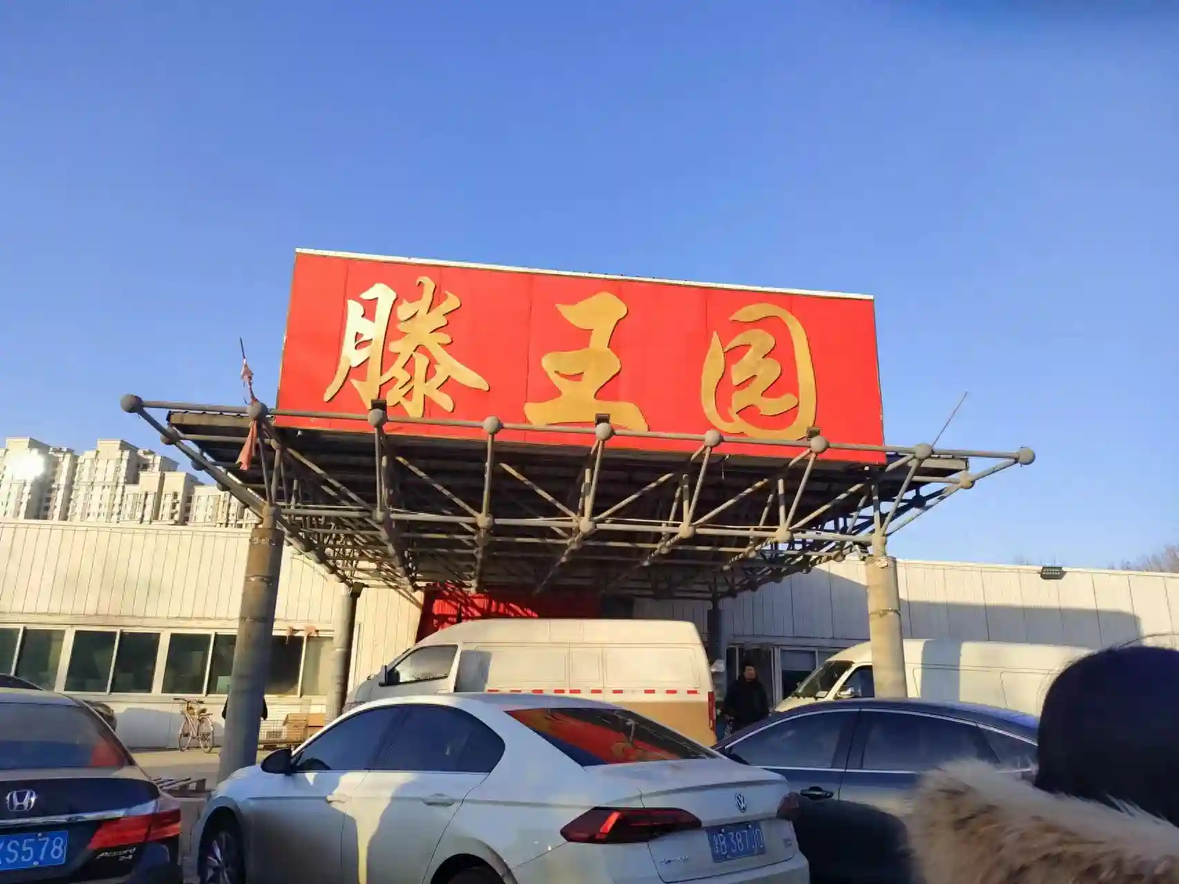 买水果太便宜了！腾王园水果批发 早点知道多好！