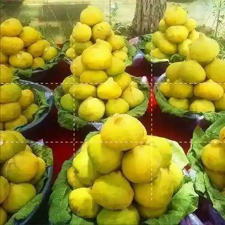 新疆水果 无花果