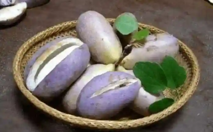 千奇百怪的水果