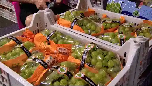 凌晨一点的水果批发市场 你的新鲜水果已经启程