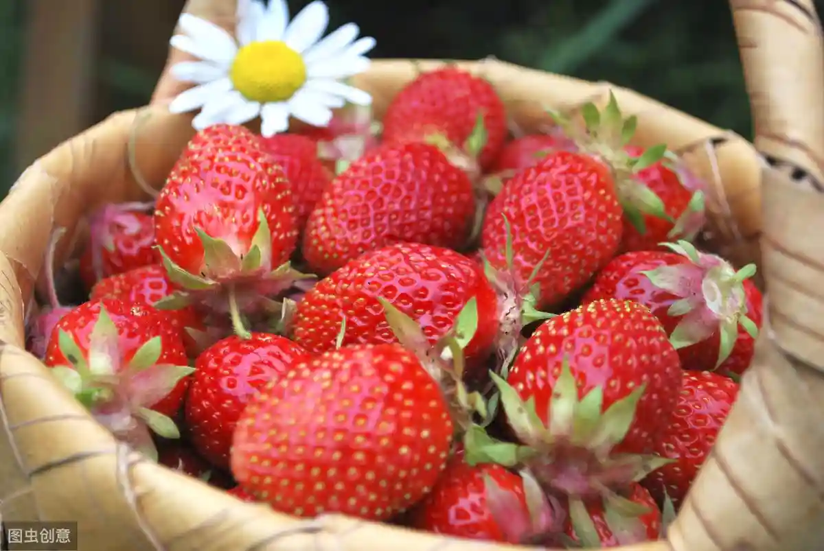 小知识：水果种类大全，再也不用担心分不清水果了