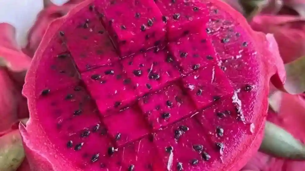 水果店新手怎么进货便宜，新手怎么开水果店进货