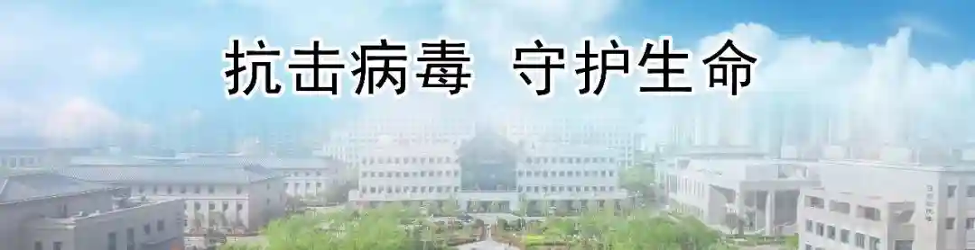 这些水果比蜜甜——一位神秘的爱心人士送来了水果