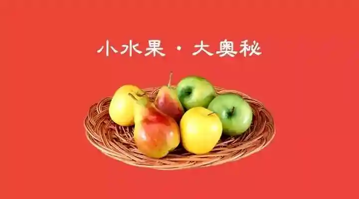 小水果·大奥秘：一大波儿诱人的水果正在向你袭来！