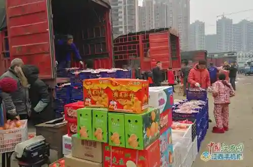 九江：春节临近水果市场热闹非凡 中高档水果受欢迎