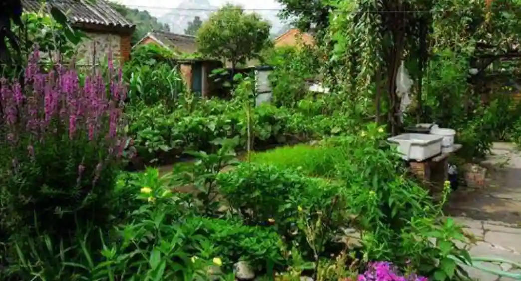 专访两位返乡创业青年，专做水果产地供应链一件代发，是否能致富