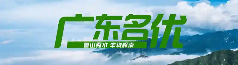 广东名优 | 水果界的新星，可以生熟两吃的徐闻水果玉米