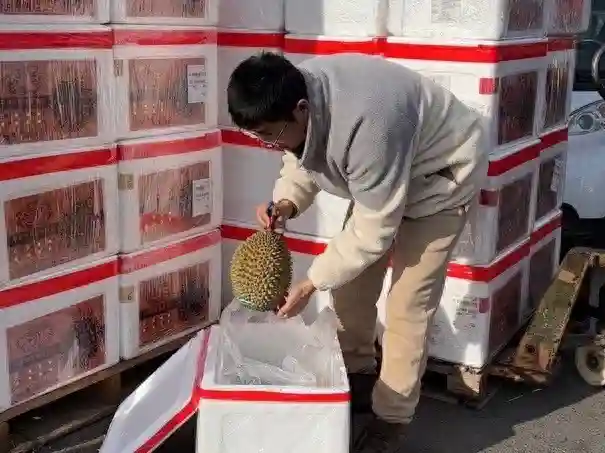 大兴机场进境水果口岸启用10天，超5000公斤进口水果进京