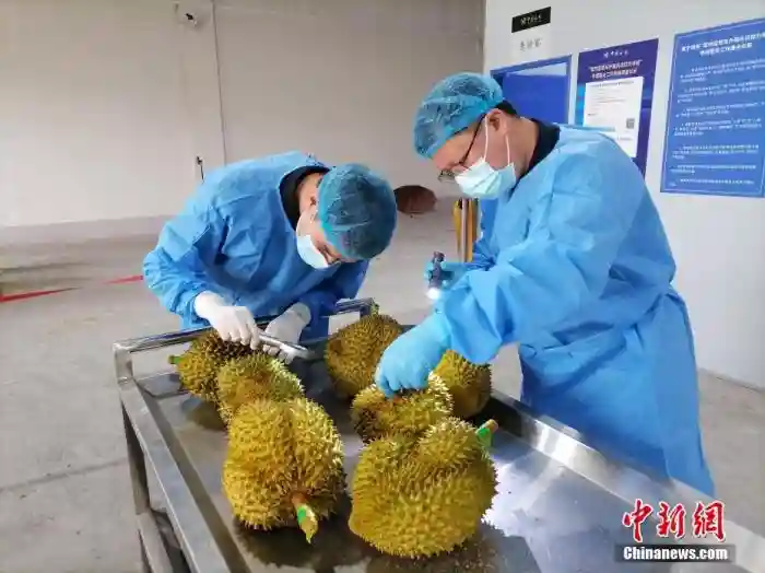 中国首个铁路进境水果口岸今年进口东盟水果破万吨