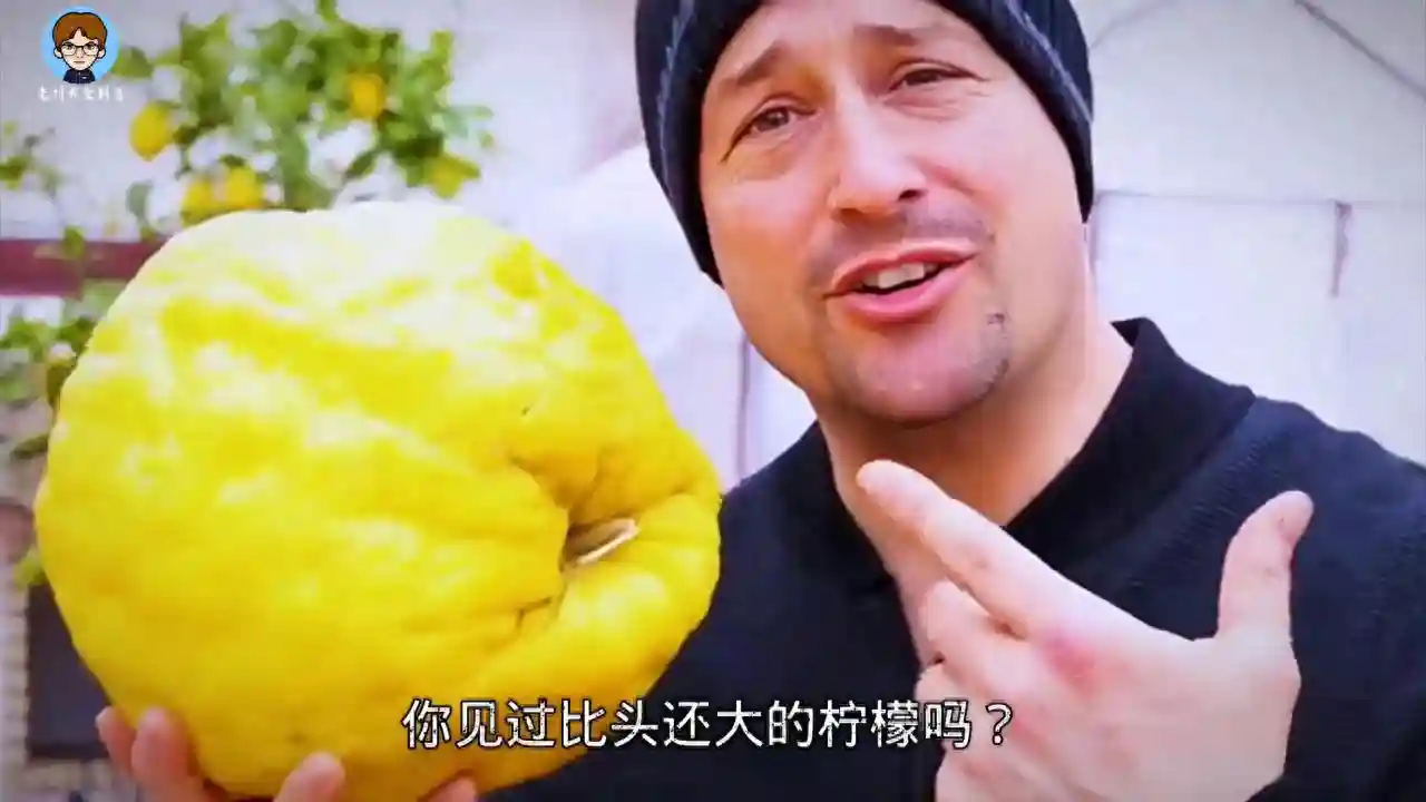 六个超大水果（下）#科普