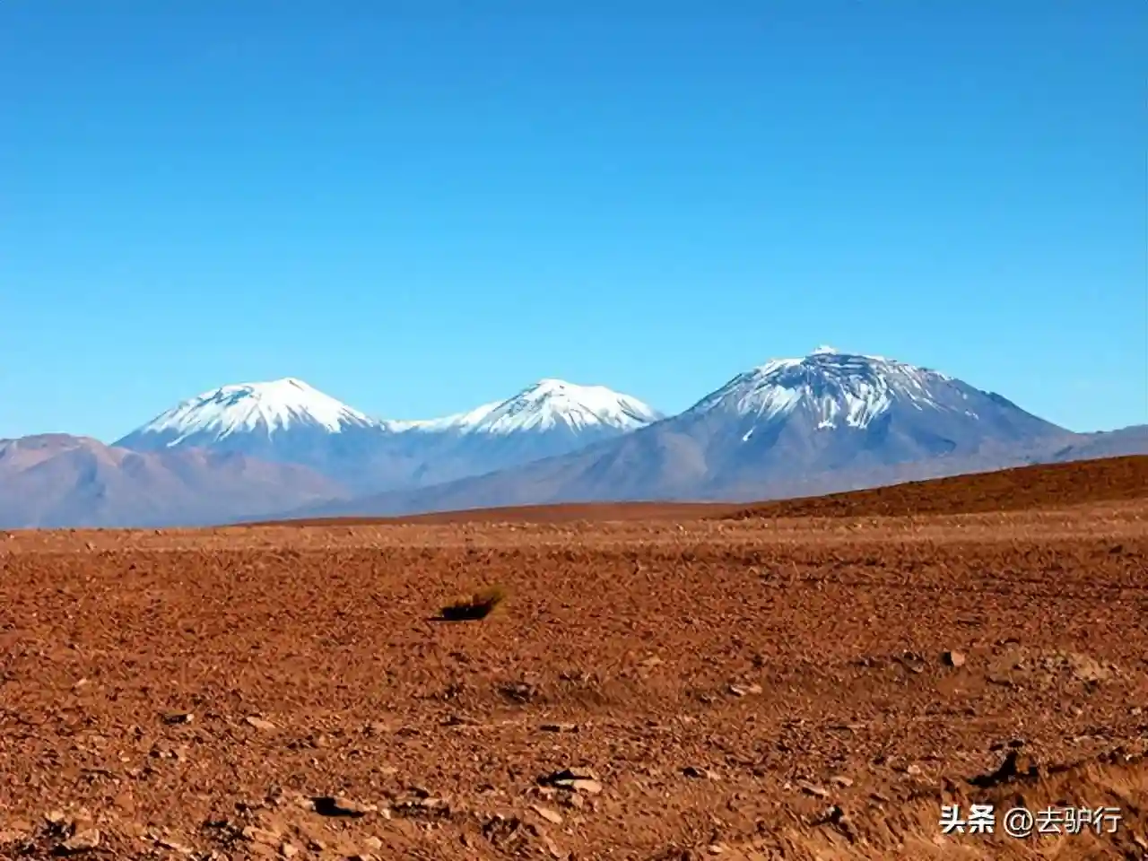 美洲水果大国：国民实现水果“自由”，靠种地也能成为发达国家