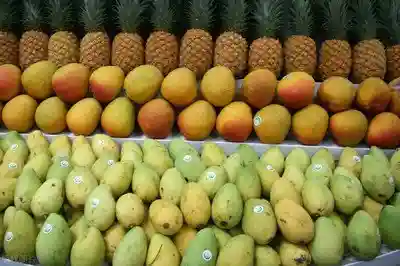 海口有个水果批发市场，意外吸引游客光顾，热带水果物美价廉