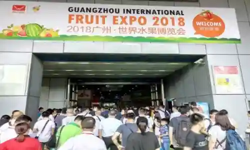 全球果蔬展之专业世界水果贸易平台——2019广州·世界水果博览会