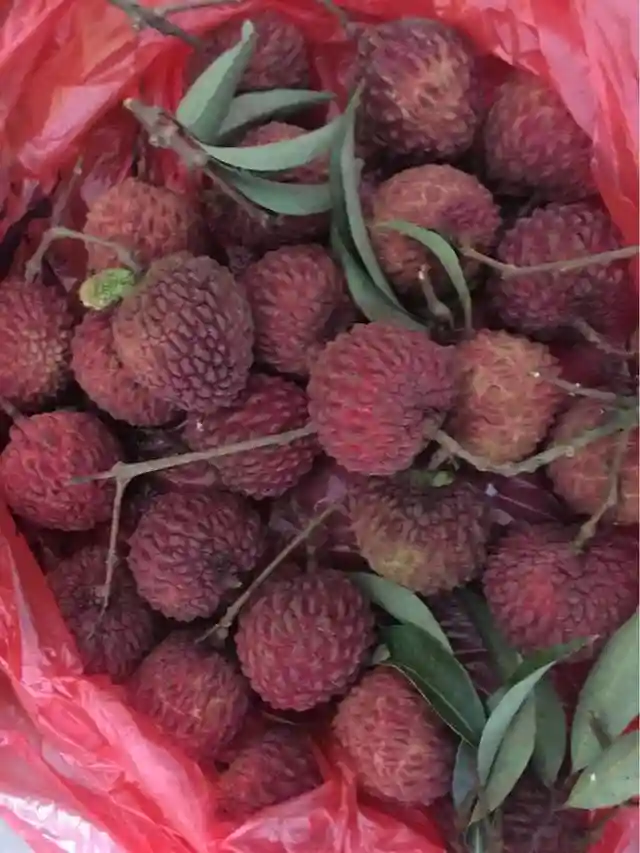 海南南北水果批发市场