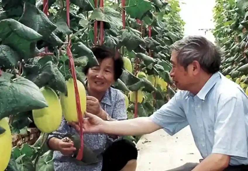 中国各种水果产量排名