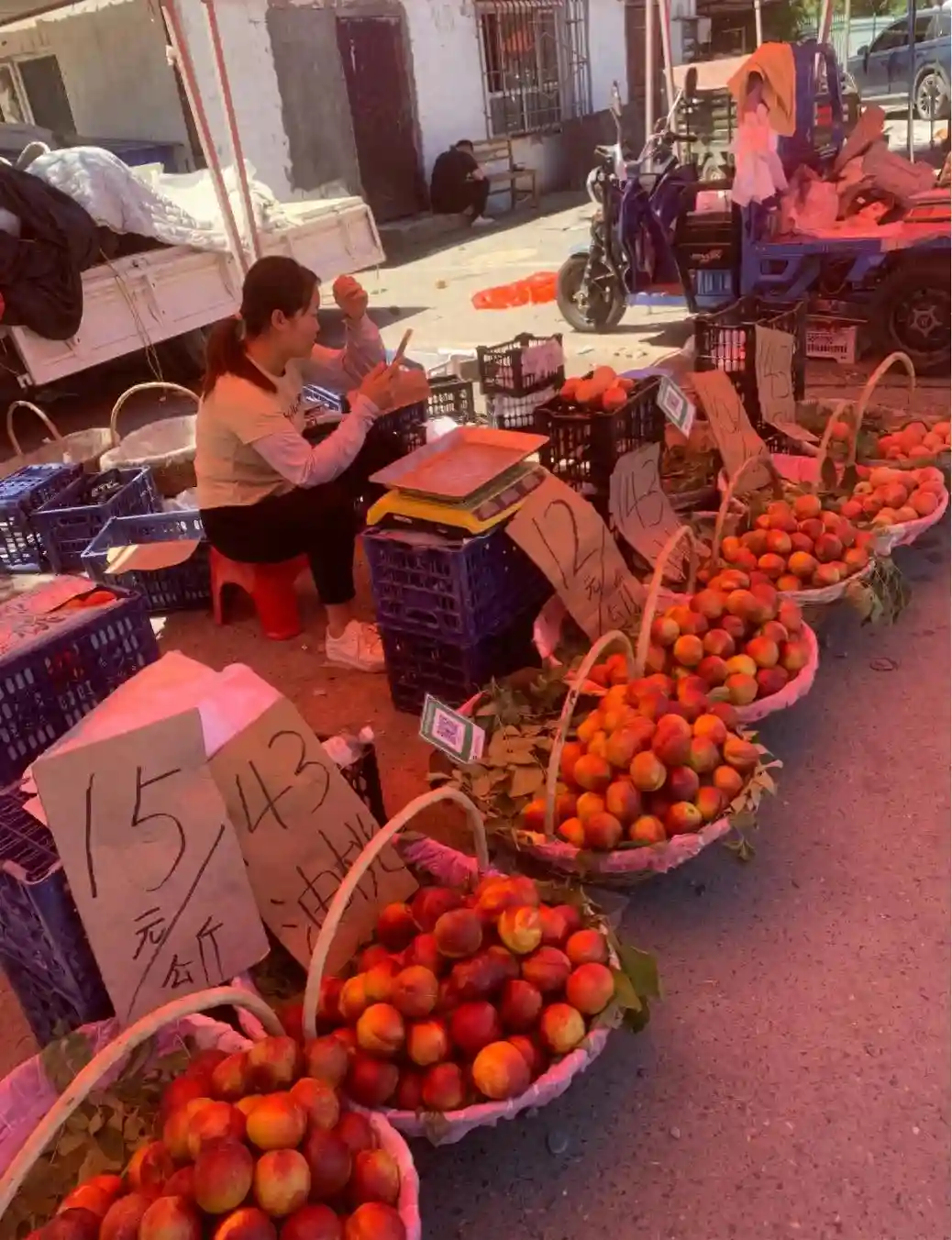 新疆水果陆续上市，看看今天市场上的水果都是些什么样的价格。