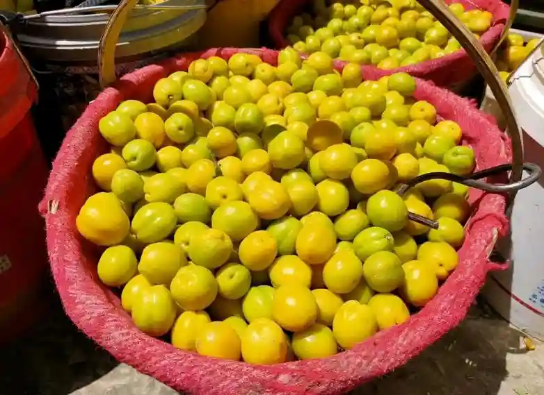 200万吨被人冷落的水果：今年杏大量上市，在所有水果中价格垫底