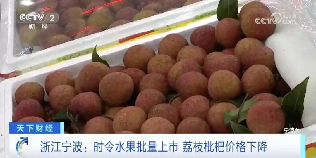 降价超50%！这些水果便宜了→