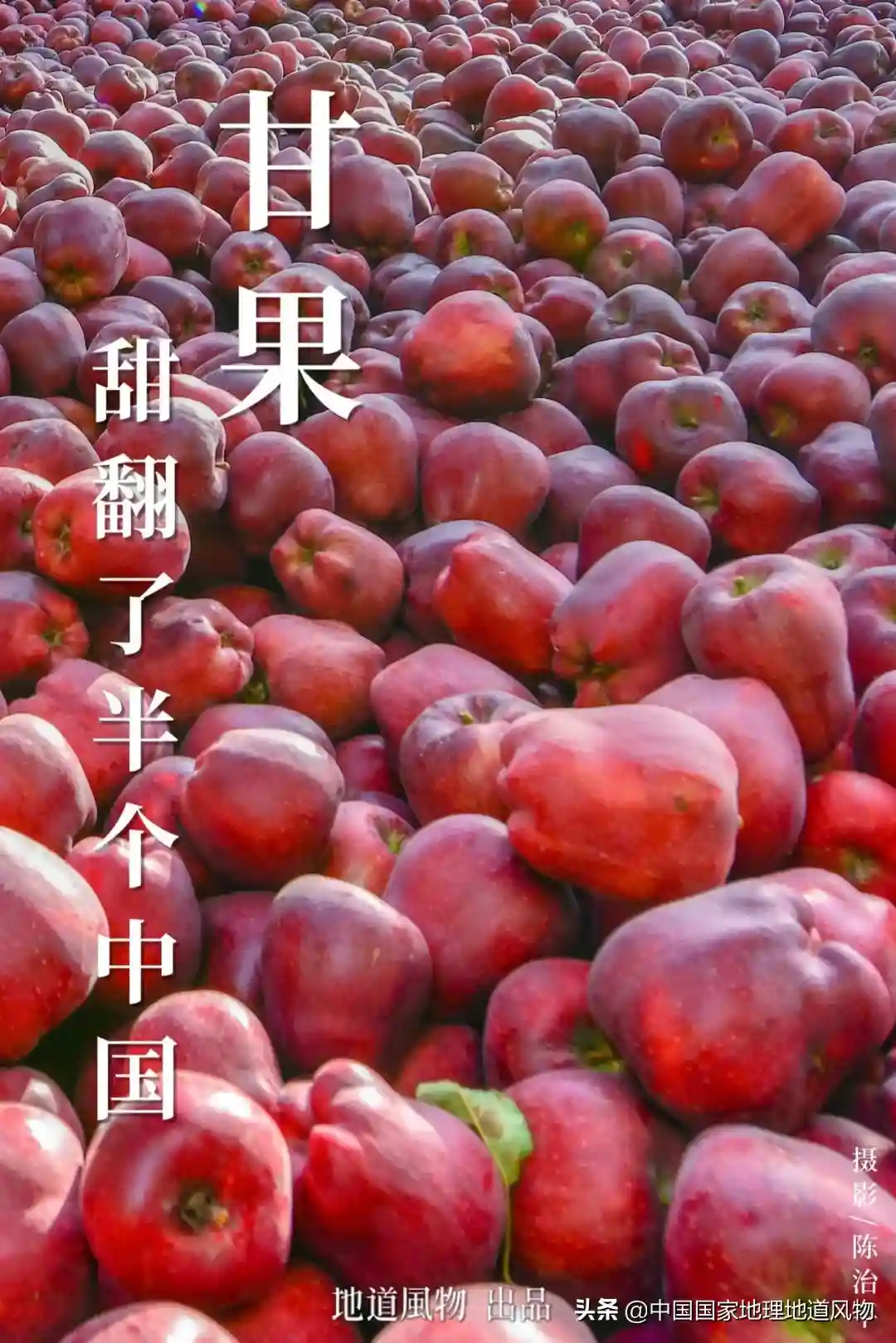 甘肃水果，甜翻了半个中国