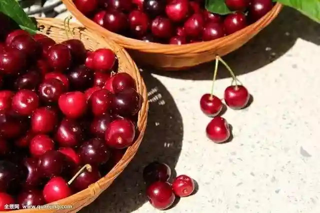 答案！什么水果能代表大连