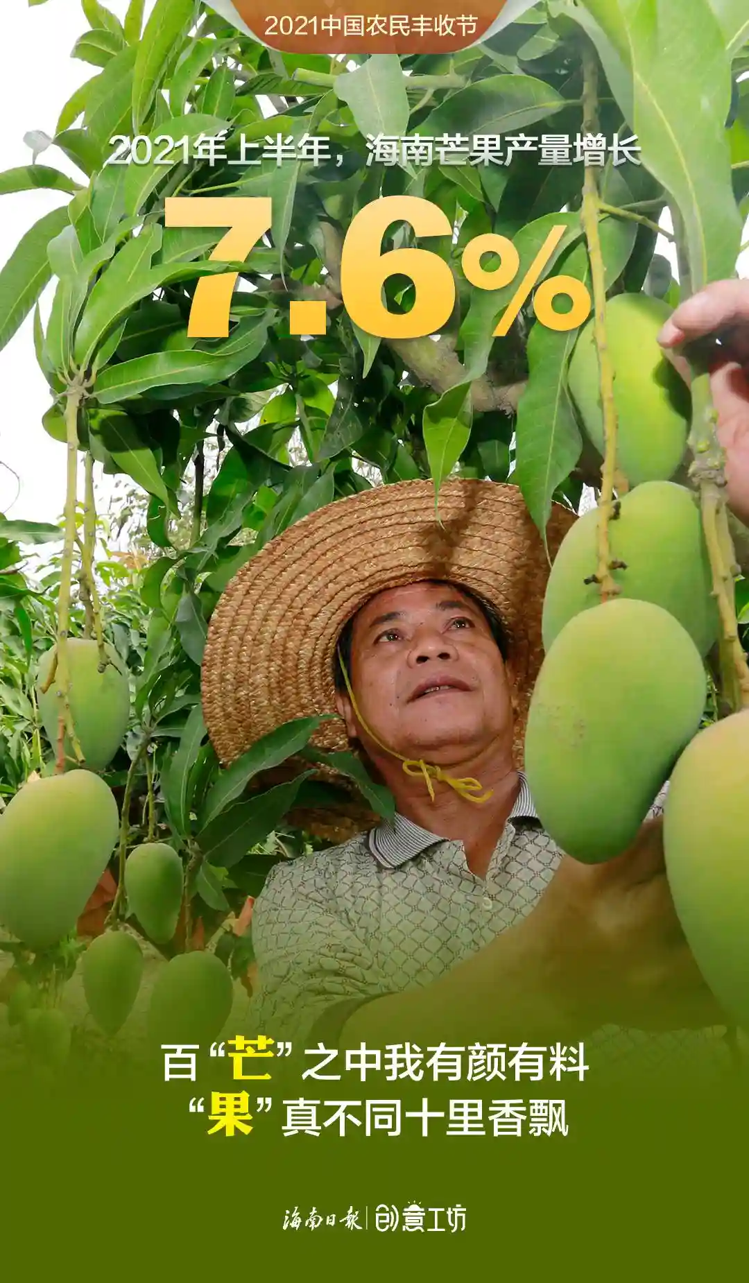 创意海报丨海南水果话丰收